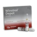 WINSTROL DEPOT