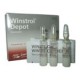 WINSTROL DEPOT